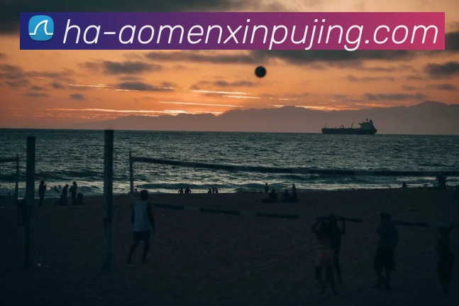 App Interface Preview